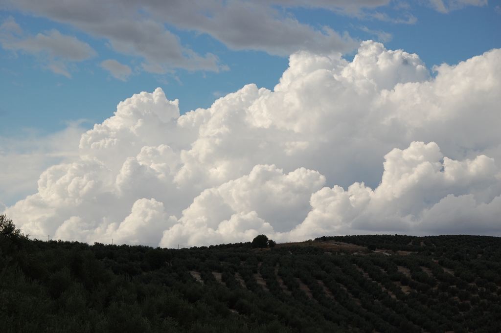 Acechando la tormenta
Nubes provenientes de una tormenta formada en la zona de Sierra Morena se acercan a la Sierra de las Villas
