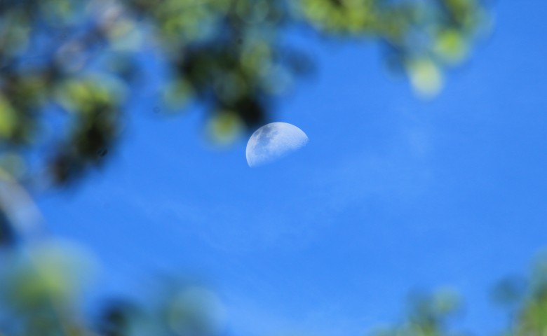 Desplazamiento de la luna en el transcurso de la tarde

Se observa la luna en el firmamento azul, foto tomada  en las horas de la tardes
Álbumes del atlas: aaa_no_album