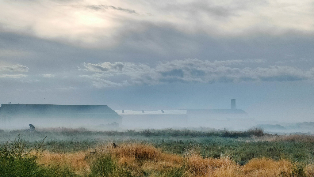 Boira matinal
Primeas nieblas del año a primera hora de la mañana.
Álbumes del atlas: aaa_no_album