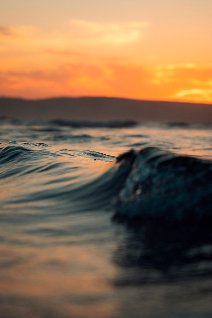Fall Waves
Una ola formandose en la playa frente a la puesta de sol de octubre
Álbumes del atlas: aaa_borrar