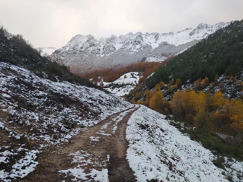 Colores de Otoño
La fotografía está tomada en el atardecer de unas de las montañas nevadas otoñales que envuelven Villamanín (León)
