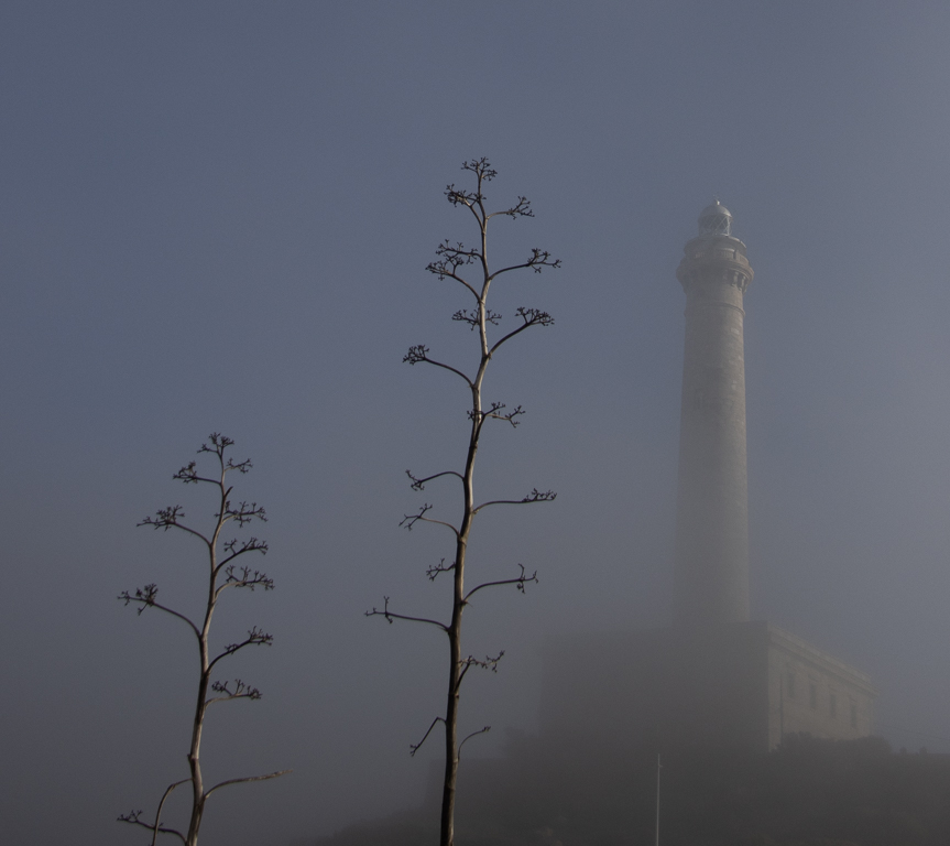 Niebla en el Faro
Al amanecer en Cabo de Palos, el Faro con niebla
Álbumes del atlas: ZFI22