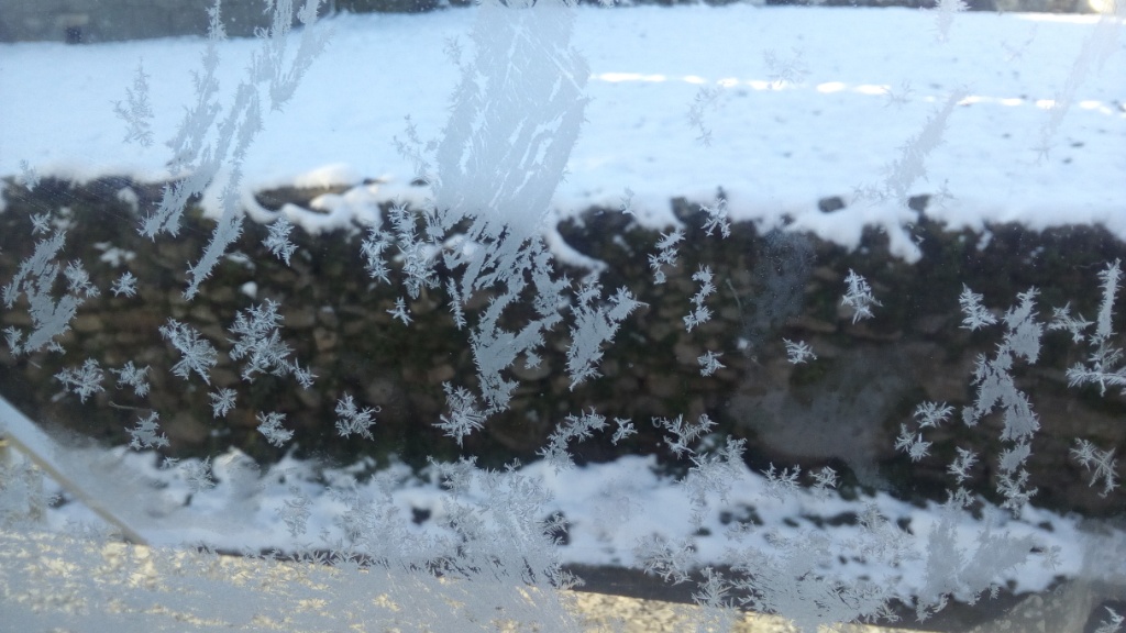 Desde la ventana : al despertar 
Formaciones de hielo en el cristal de la ventana 
