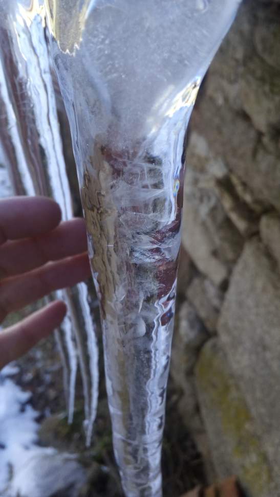 "espada de hielo "
carambano recrecido tras varios días de heladas
