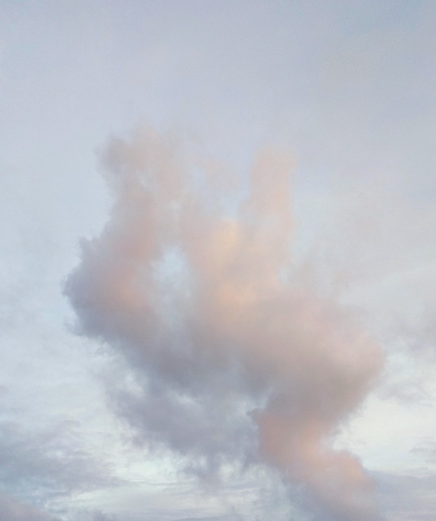 Nubes pensando en cosas de nubes
Cúmulo disolviéndose al atardecer
