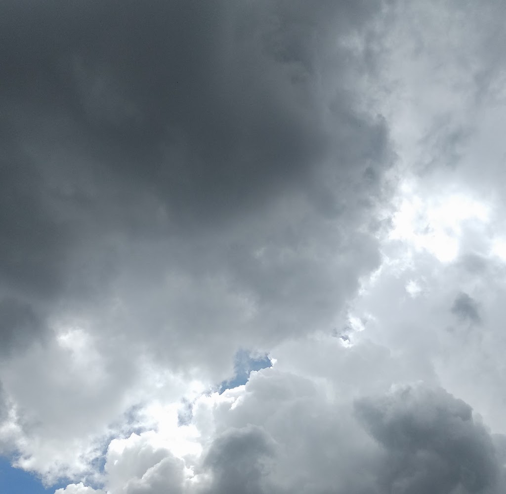Nubes dialogando en busca de su lugar en el mundo
Altocúmulos densos
