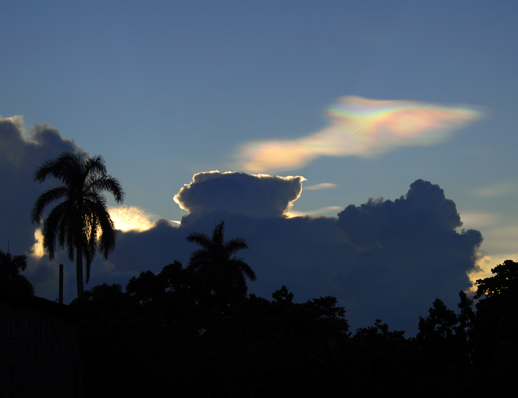 Pez iridiscente
Durante el atardecer, la descomposición de la luz a través del vapor de agua contenido en una nube, ha creado un fenómeno óptico similar al que ocurre en el arcoiris. Dotando a la nube de esta coloración variada,   se creó durante unos pocos minutos, esta figura en forma de pez.
