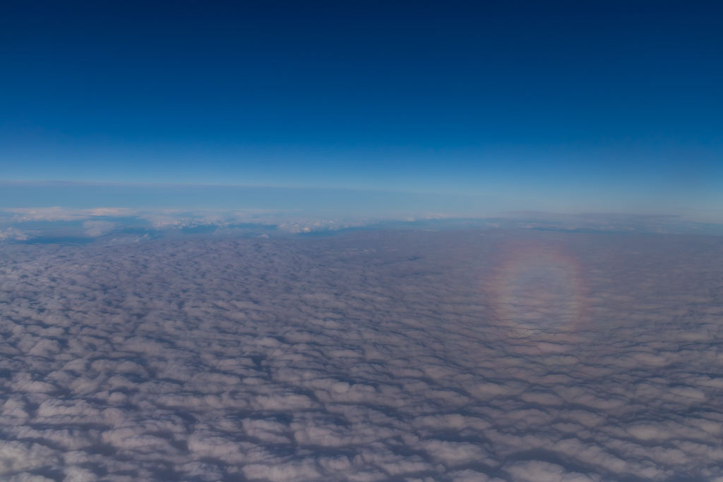 Gloria solar durante un vuelo 
Durante un vuela en avión, logré ver una gloria solar que se mantuvo por varios minutos producto de la nubosidad y la altura del avion
Álbumes del atlas: zfp23 ztertuliaFP23