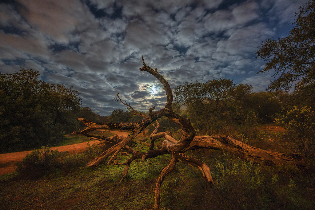 Retroiluminación lunar
La luna ha sido objeto de atracción a lo largo de los años, y tanto más para los fotógrafos de la noche.  Cuando se acompaña de nubes, como el caso, se produce una llamativa retroiluminación que decora el cielo de la noche.
