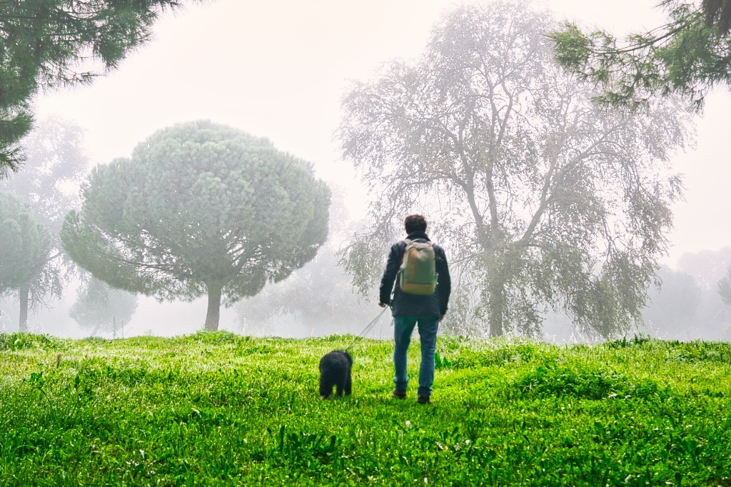 Paseo en la niebla.
Un hombre y su perro pasean por un bosque en una mañana otoñal de niebla.
Álbumes del atlas: aaa_borrar