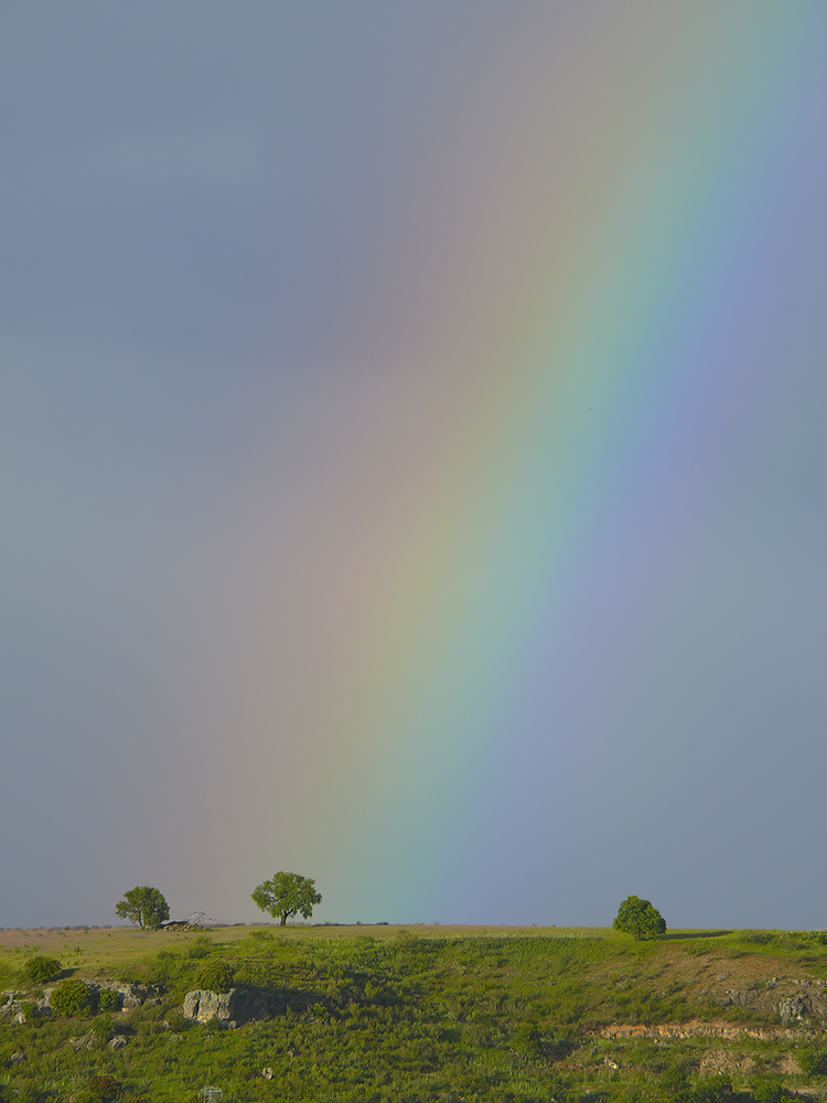 Rainbow
Una tarde de tormenta por la zona de la Armuña en Salamanca.
