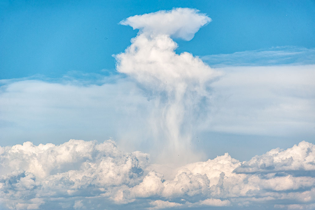 Nubes convectivas de desarrollo vertical con precipitaciones.
Tarde con mucha actividad de cúmulos  y desarrollos verticales con una docena de buitres aprovechando las térmicas ascendentes.

