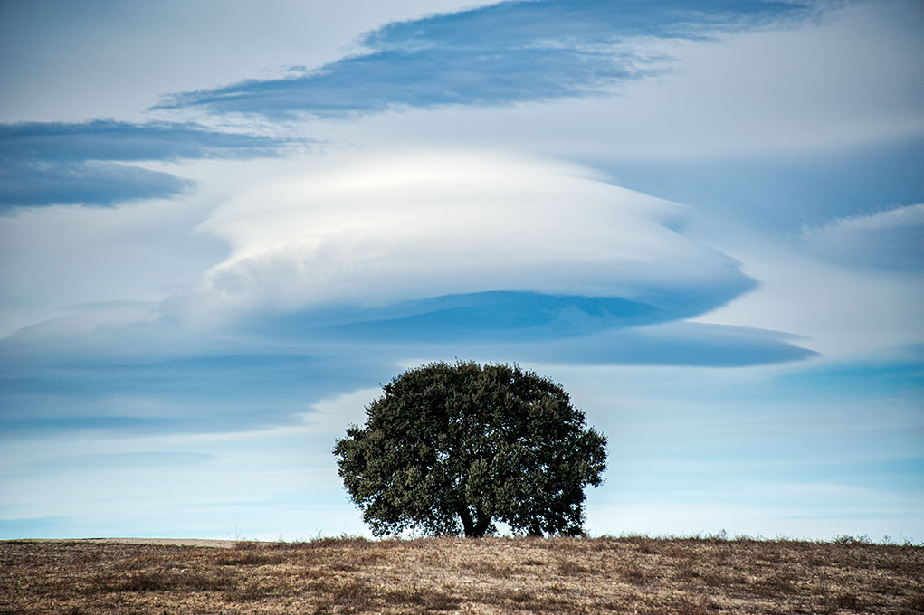  Lenticular Encina
Mañana con viento que modelaba las nubes por las alturas.
