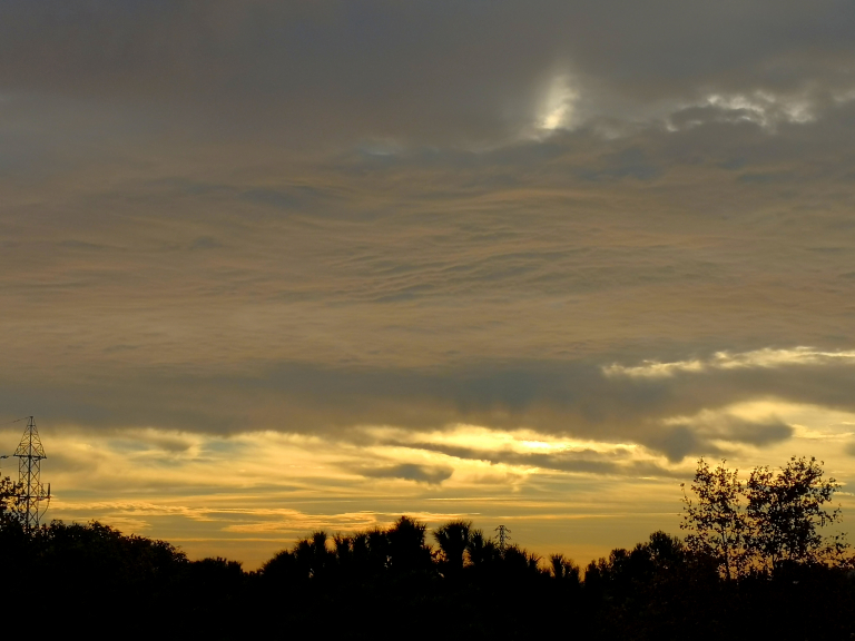 Amanecer de enero
Amanecer con cielo cubierto de altoestratos posiblemente undulatus por las ondulaciones que hay en la base de las nubes

