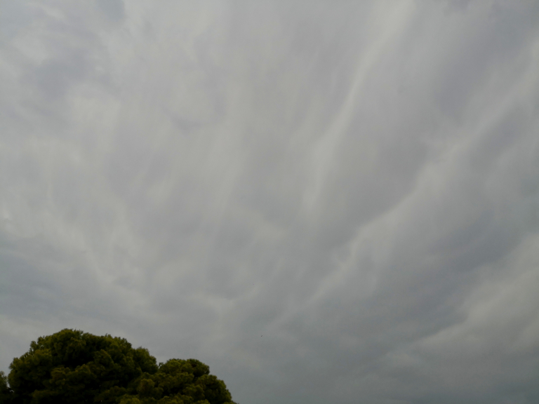 Tormenta levantina
Nubes pertenecientes a la base del yunque de una tormenta procedente del sistema Ibérico de Teruel que fue a morir a la costa del Azahar castellonense. Altoestratos undulatus mamma
