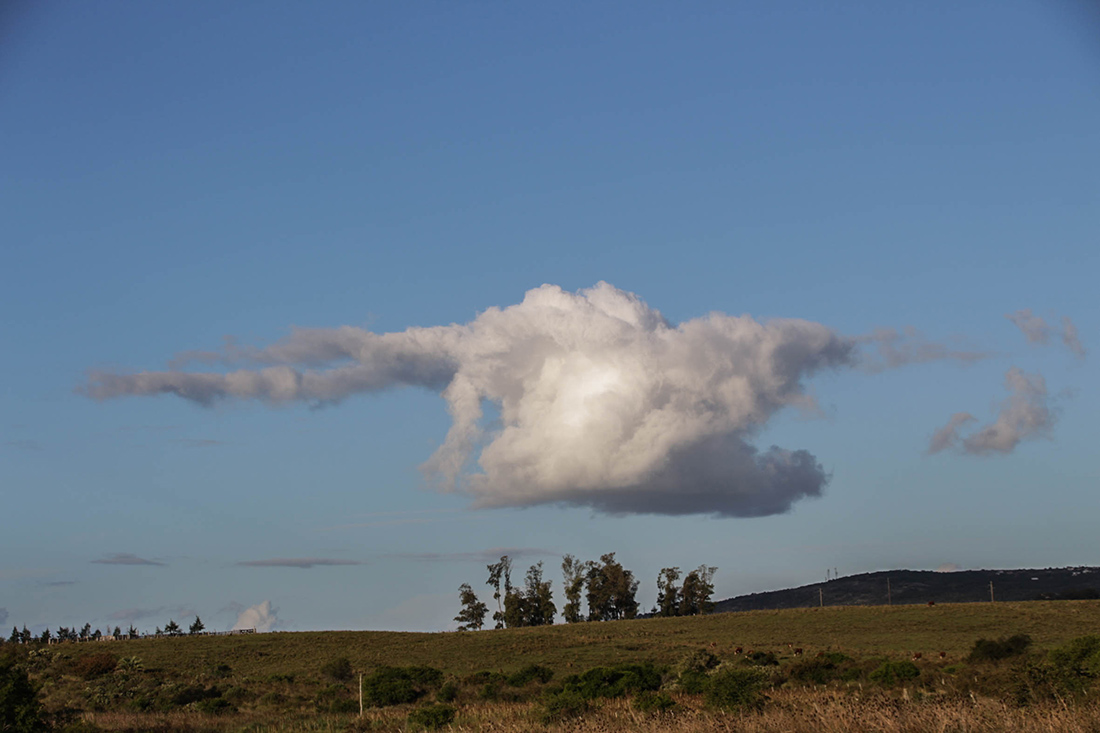Nube
Nube sobre los campos de Minas, departamento de Lavalleja, Uruguay
