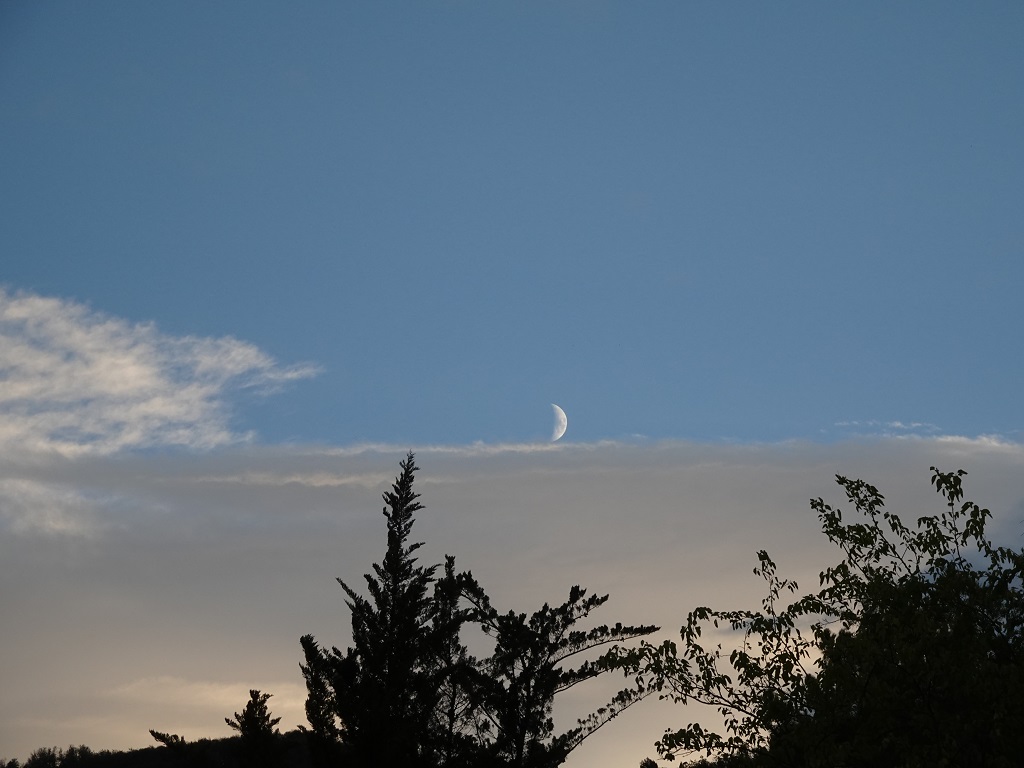 Media luna
Fotografía muy curiosa. La media luna asomando por encima de las nubes.
Álbumes del atlas: aaa_borrar