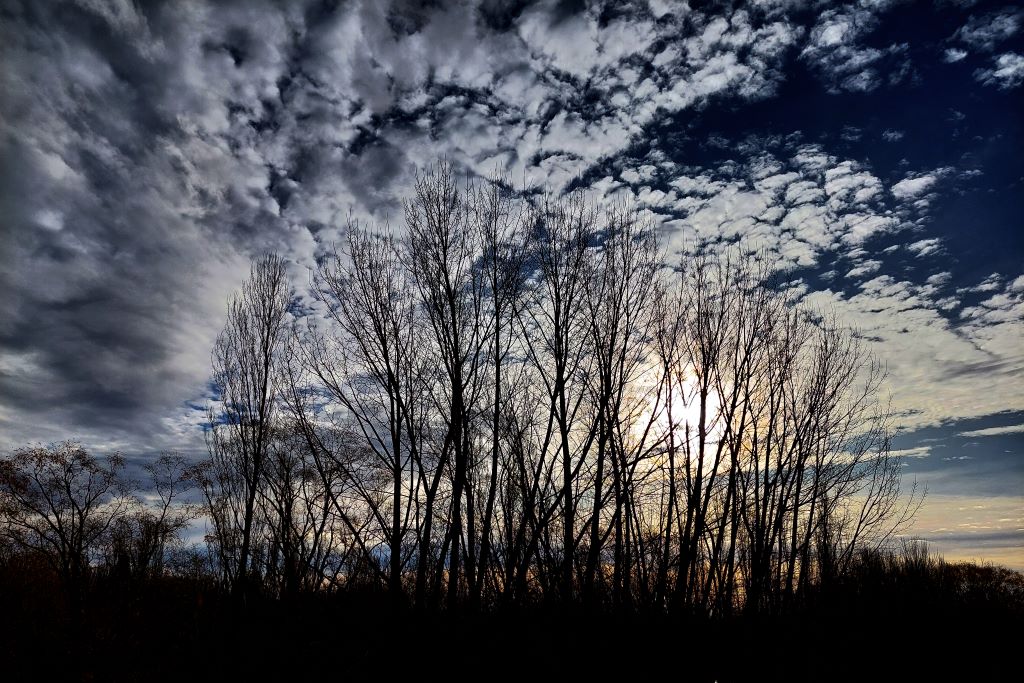 cielos de algodón en otoño
A dos días de terminar el otoño, la luz del sol, baja temprano en Río Negro, Argentina, a las 17 hs, regalándonos este marvilloso cuadro de nubes. 
