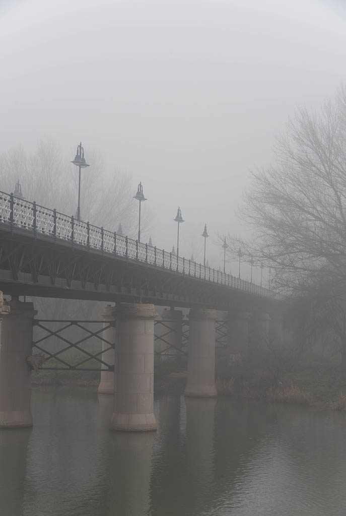 Manaña de nieblas
Tomada la mañana del 28/01/2024 en el Ebro a su paso por Logroño
Álbumes del atlas: zzzznopre