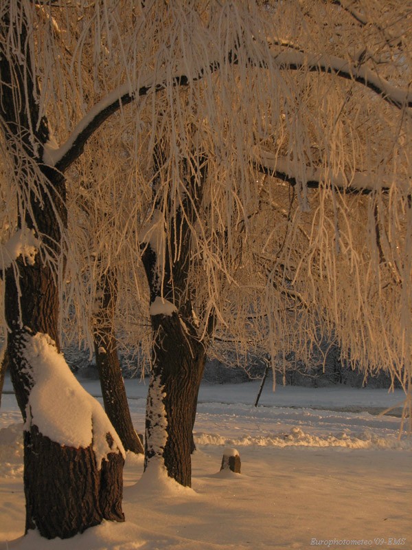 Winter's Fairytale
 
