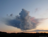 "A Cloud with Wings"