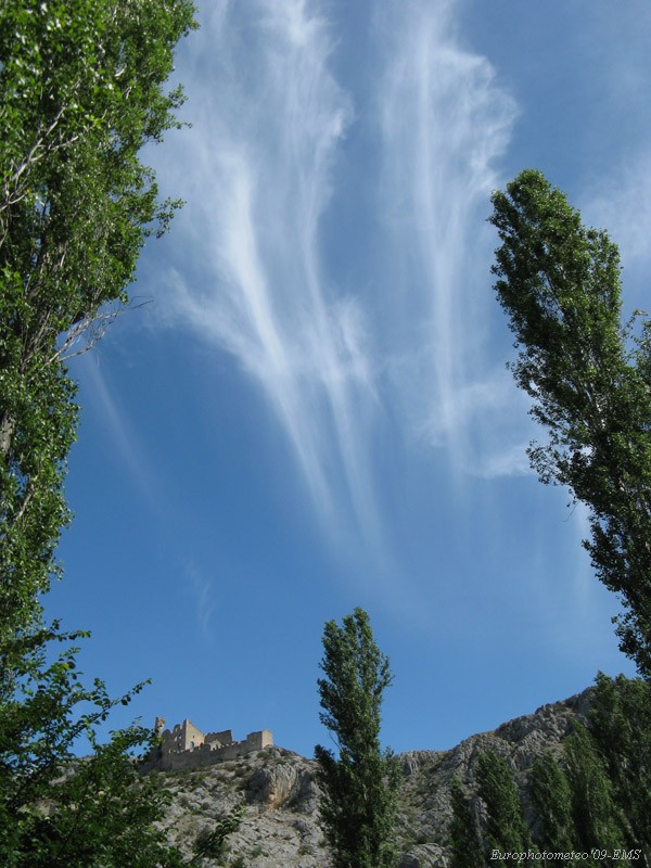 "Cirrus Clouds mimicking Poplar Trees"
 
