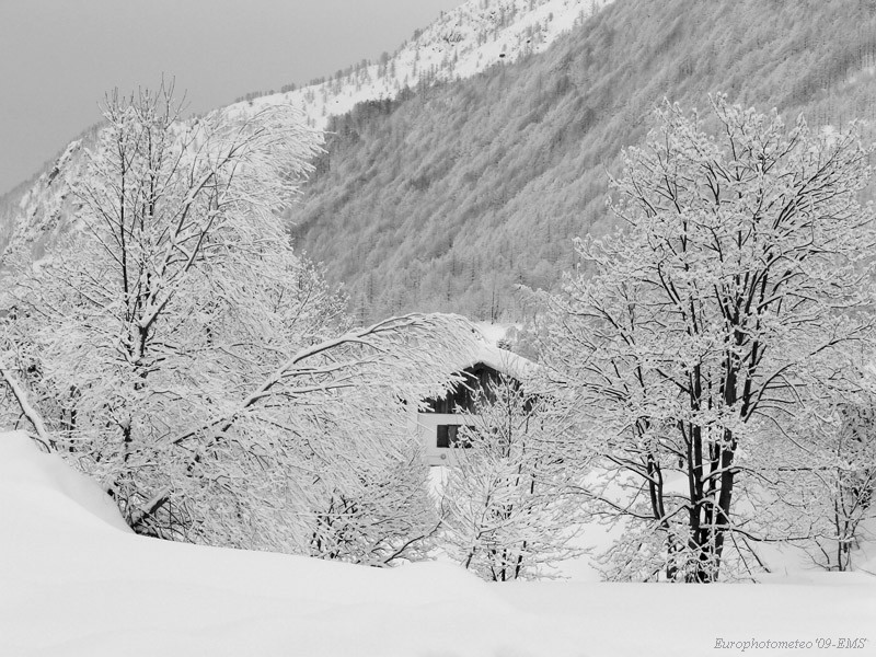 "The Embrace of Winter"
 
Álbumes del atlas: paisaje_nevado