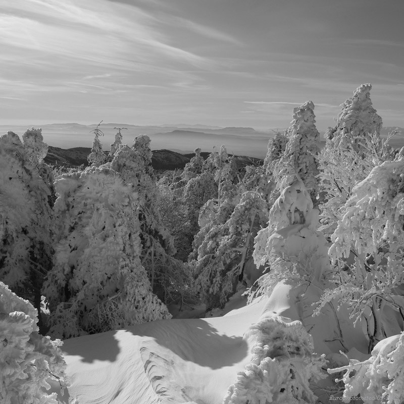 "Ice Pines"
 
Álbumes del atlas: paisaje_nevado