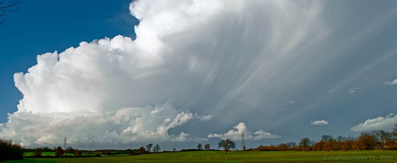 Atlas: Cumulonimbus capillatus
 
