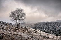 360-facing_the_frost(1700_x_1129).jpg