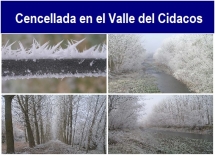 Cencellada_en_el_Valle_del_Cidacos.txt