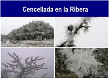 Cencellada_en_la_Ribera.txt