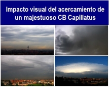 Impacto_visual_del_acercamiento_de_un_majestuoso_CB_Capillatus.txt