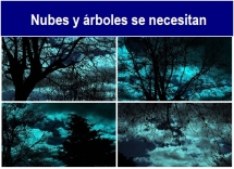 Nubes_y_arboles_se_necesitan.txt