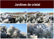 Jardines_de_cristal_.txt