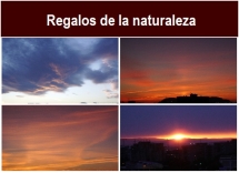 Regalos_de_la_naturaleza.txt