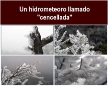 Un_hidrometeoro_llamado_cencellada_.txt