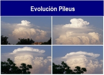 Evolucion_Pileus_.txt