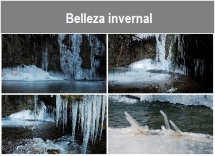 Belleza_invernal.txt