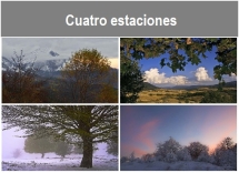 Cuatro_estaciones_.txt