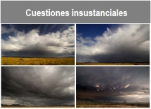 Cuestiones_insustanciales_.txt