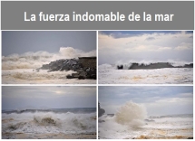 La_fuerza_indomable_de_la_mar_.txt