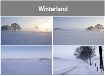 Winterland.txt