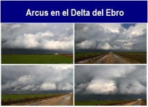 Arcus_en_el_Delta_del_Ebro.txt