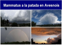 Mammatus_a_la_patada_en_Avesnois.txt