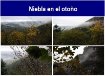 Niebla_en_el_otono.txt