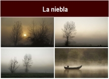 La_niebla.txt