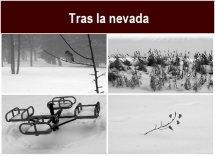 Tras_la_nevada.txt