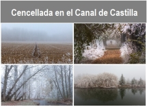 Cencellada_en_el_Canal_de_Castilla.txt