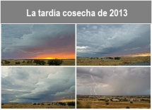 La_tardia_cosecha_de_2013.txt